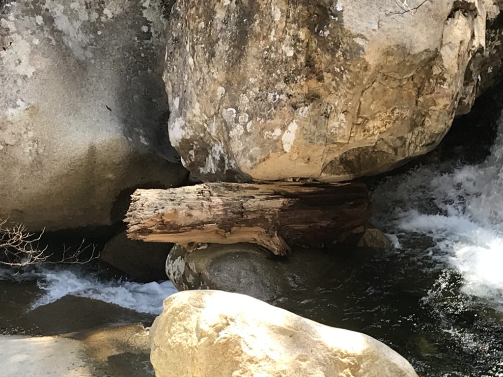 岩に挟まれた流木