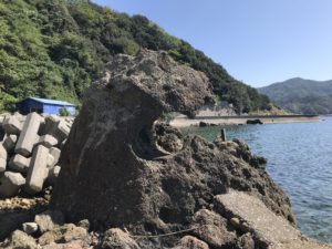 宇和島市九島の島内にある観光スポット【ゴジラ岩】