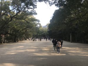 大山祇神社の大楠が見える参道