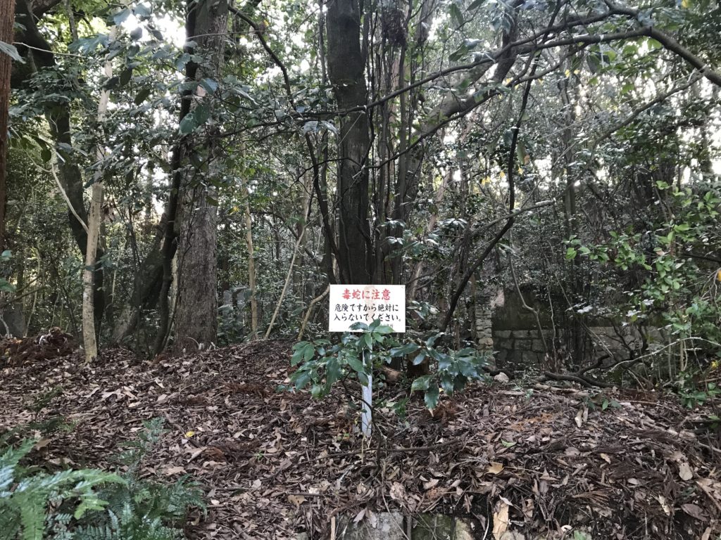 大山祇神社の本殿の周辺の楠群の森の毒蛇注意の看板